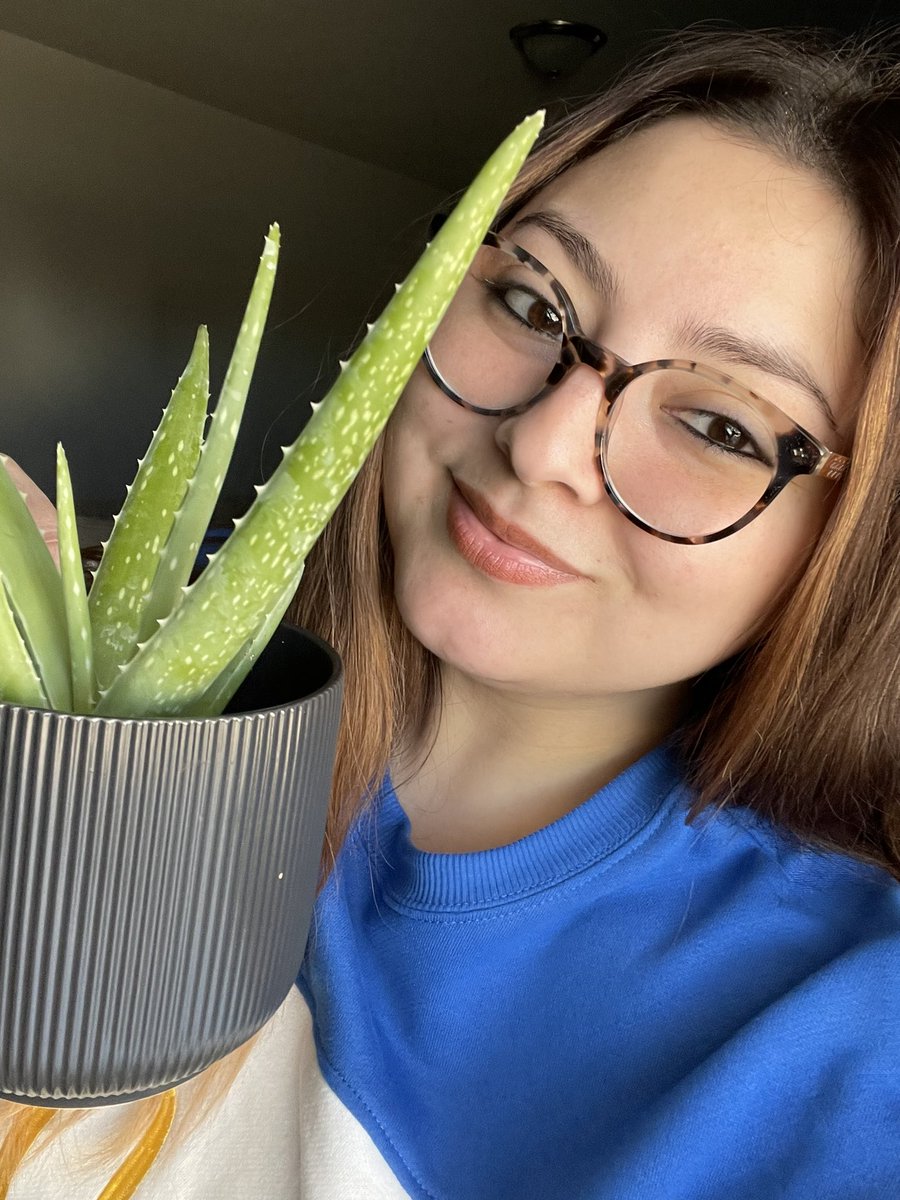 brytime24's tweet photo. Hello, meet Rob. Rob is my new friend and he almost died but I am taking good care of him now. #myfirstplant https://t.co/yTMu6s9vgU