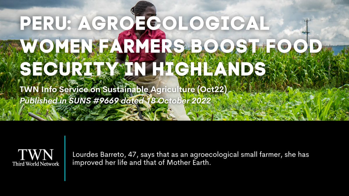 3rdworldnetwork's tweet photo. Peru: #Agroecological women farmers boost #food security in highlands. Lourdes Barreto along with 40 other women farmers from six municipalities, is part of #APPEQ - a productive and advocacy organization formed in 2012.
#Agriculture
➡️https://t.co/uXfxawMxen https://t.co/aLpWrPKZJn