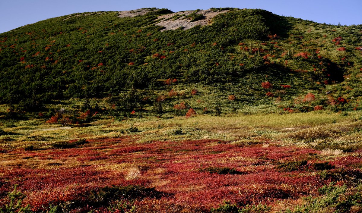 「秋に色付く」

#写真好きな人と繋がりたい
#ファインダー越しの私の世界 
#FUJIFILM 
#photography