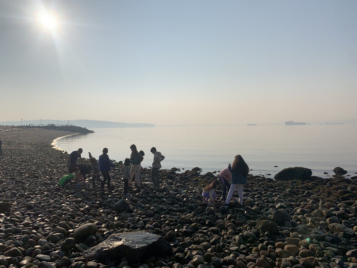 Laura Fee tweet media