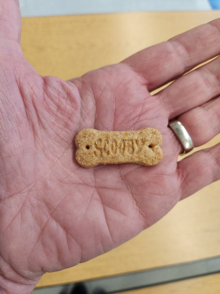 Rob Glass (@glasr333) on Twitter photo You know you have made a friend when you're visiting an elementary school cafeteria and are offered a Scooby Snack:) Thank you, Pound Ridge Elementary-- made my day! <a href="/BCSDNOTES/">Bedford Central School District</a> You know you have made a friend when you're visiting an elementary school cafeteria and are offered a Scooby Snack:) Thank you, Pound Ridge Elementary-- made my day! <a href="/BCSDNOTES/">Bedford Central School District</a>
