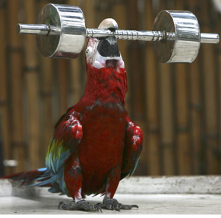 Mega Cat Studios tweet media