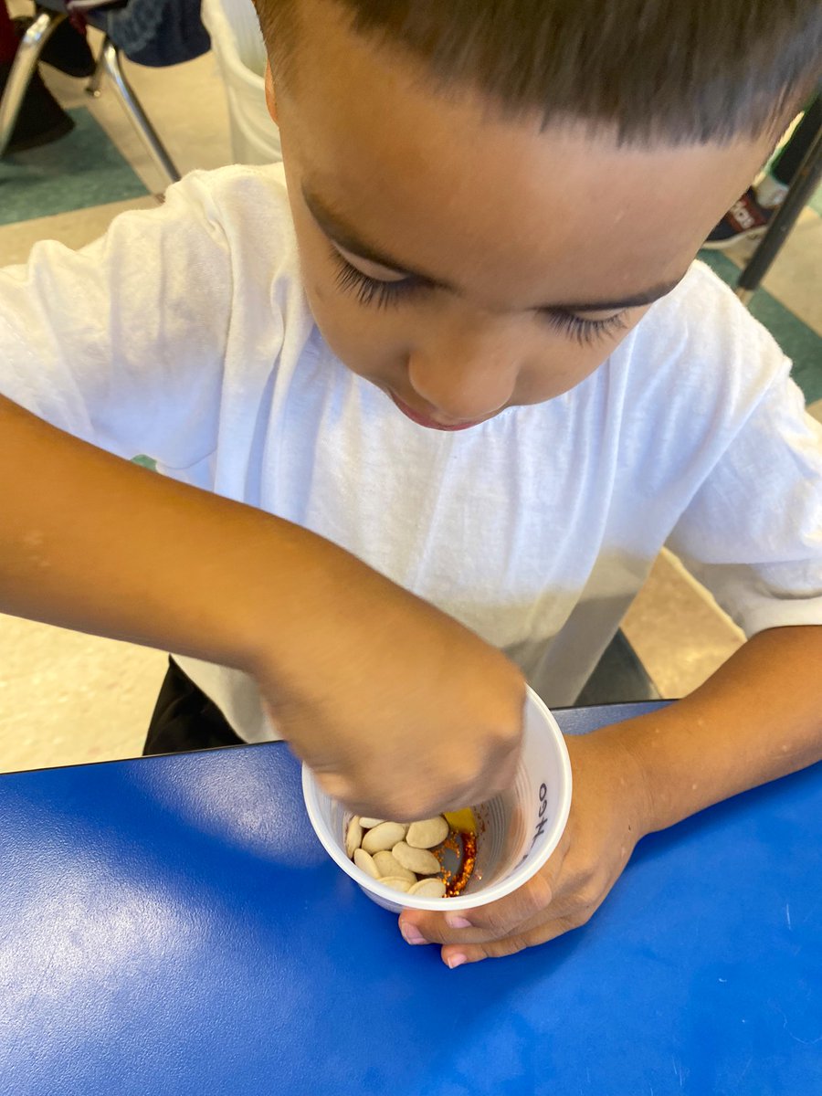 MsJacobs_Rm_15's tweet photo. Our #kinderstars made
💫 Magical Pumpkin Seeds 💫 today! 🤞🏼hoping for pumpkins tomorrow 😉 @PhillipsAveElem @MrsTomer_Rm16 https://t.co/mE2C2c5NpQ