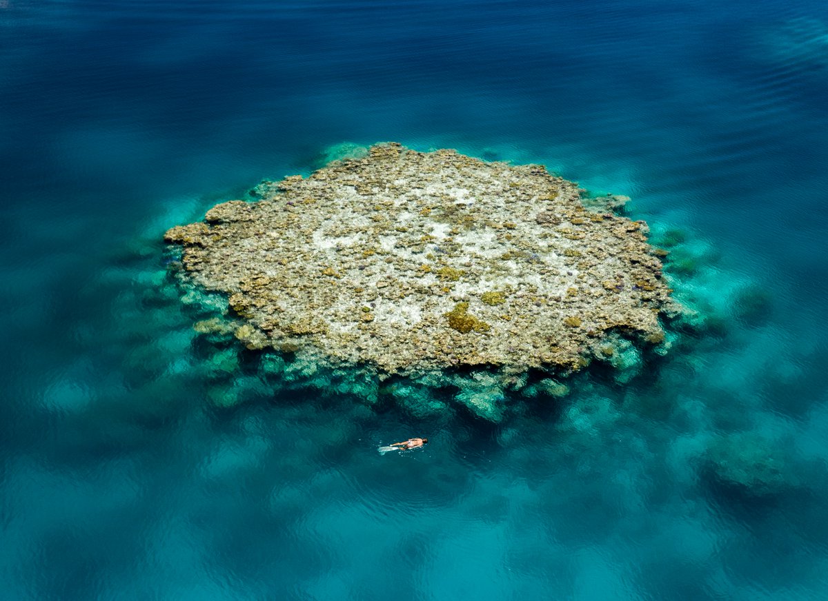 The Rowley Shoals feature exaggerated corals, mind-blowing fish life and stunning underwater clarity; but perhaps more important than anything else – even today they are visited by only a fortunate few!