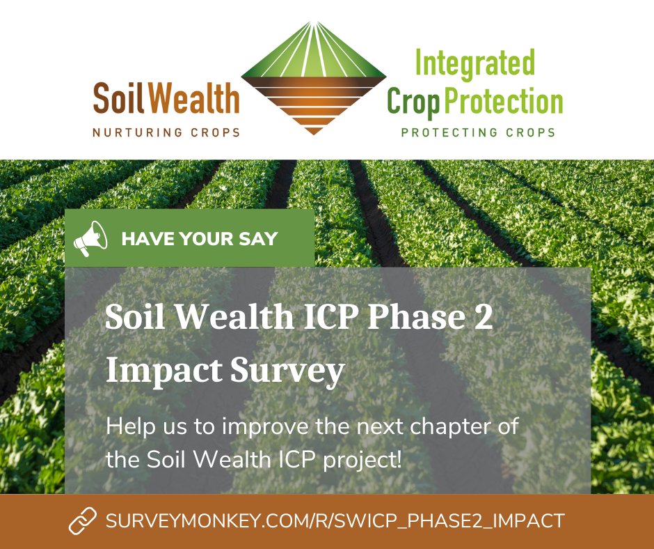 Soil Wealth ICP (@soilwealthicp) on Twitter photo 📢Last chance to have your say on Soil Wealth ICP Phase 2! We're inviting growers and industry to help us improve the next chapter of the project.
Share your thoughts in our short survey ➡️ surveymonkey.com/r/SWICP_Phase2……
<a href="/SoilWealth/">SoilWealth</a> 📢Last chance to have your say on Soil Wealth ICP Phase 2! We're inviting growers and industry to help us improve the next chapter of the project.
Share your thoughts in our short survey ➡️ surveymonkey.com/r/SWICP_Phase2……
<a href="/SoilWealth/">SoilWealth</a>