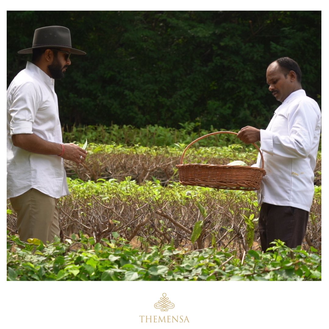 themensaindia's tweet photo. #Youarewhatyoueat
Thats the reason the chef’s at #Sinnys #Leopard #Camp pick out only the #freshest &amp; finest #fruits &amp; #vegetables from their own #organicgardens
#SinnysLeopardCamp #switchtoorganic #EcoTourism #ResponsibleTourism #Safari #luxury https://t.co/c2S1Z7DoxG