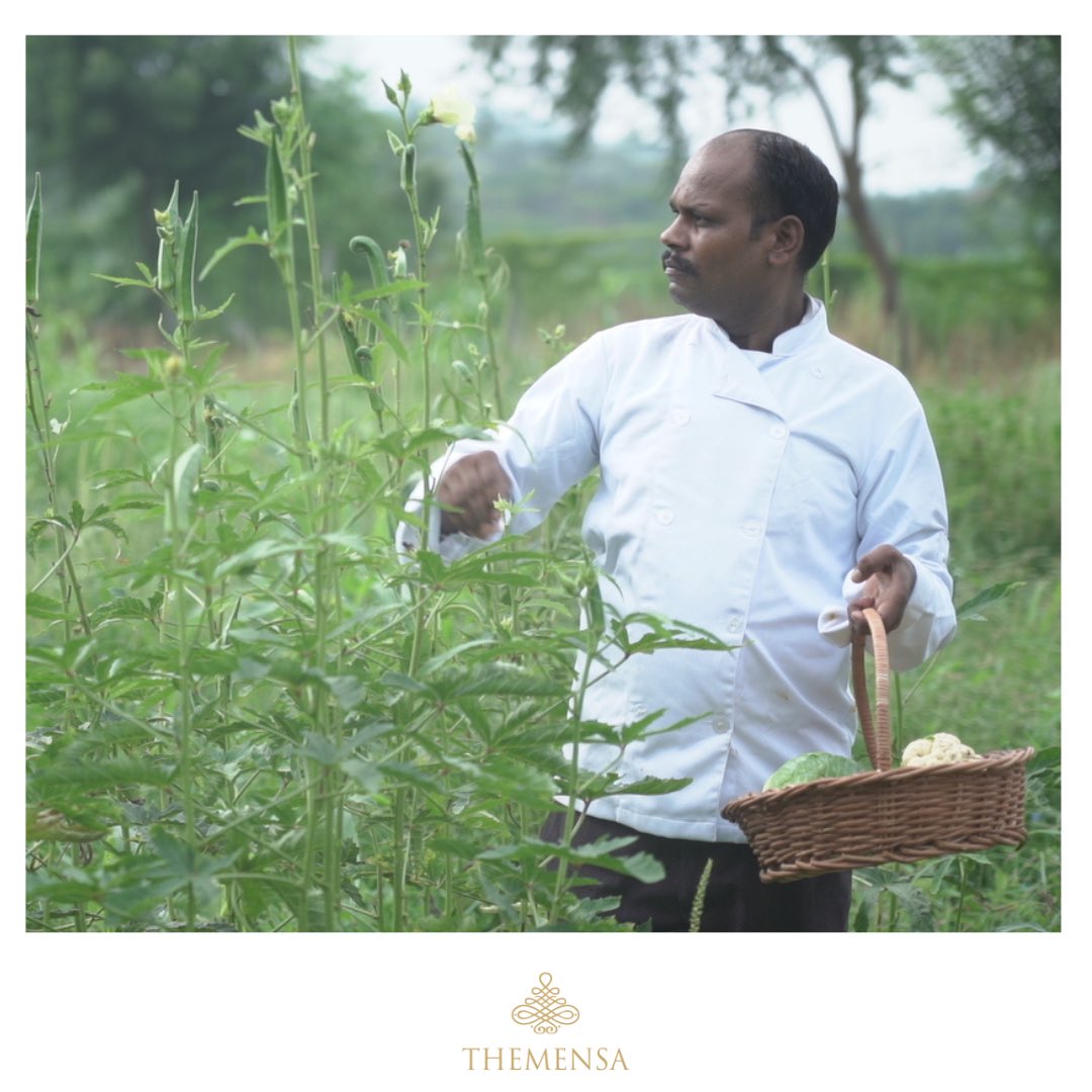 themensaindia's tweet photo. #Youarewhatyoueat
Thats the reason the chef’s at #Sinnys #Leopard #Camp pick out only the #freshest &amp; finest #fruits &amp; #vegetables from their own #organicgardens
#SinnysLeopardCamp #switchtoorganic #EcoTourism #ResponsibleTourism #Safari #luxury https://t.co/c2S1Z7DoxG