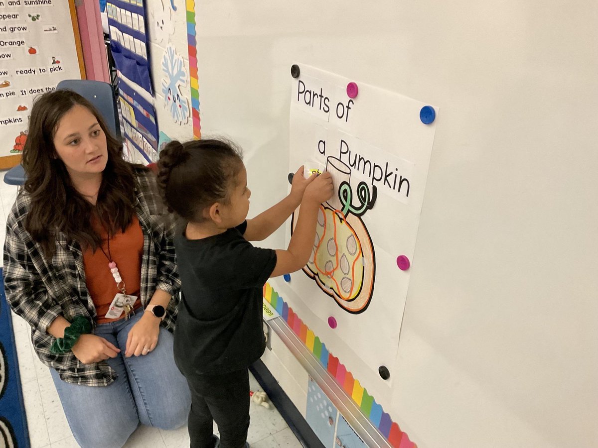 JessicaMabry4's tweet photo. We've been working hard &amp; learning about parts of a pumpkin this week! 🎃velcro anchor chart &amp; individual diagrams. #ecse3 #teamwfisd @wfcunningham @WFISDschools https://t.co/0DugCIXeyI