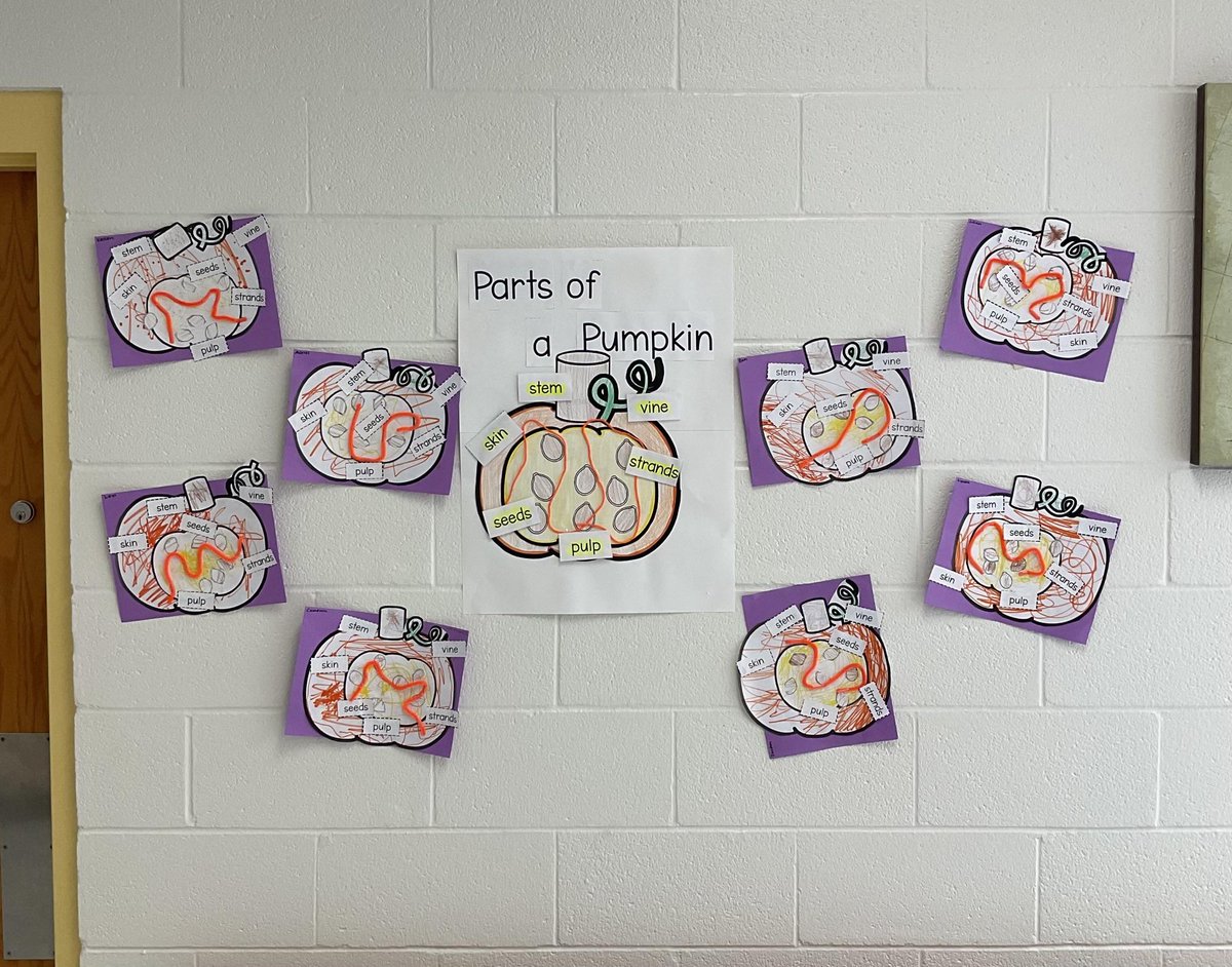 We've been working hard &amp; learning about parts of a pumpkin this week! 🎃velcro anchor chart &amp; individual diagrams. #ecse3 #teamwfisd <a href="/wfcunningham/">Cunningham Cougars</a> <a href="/WFISDschools/">Wichita Falls ISD</a>