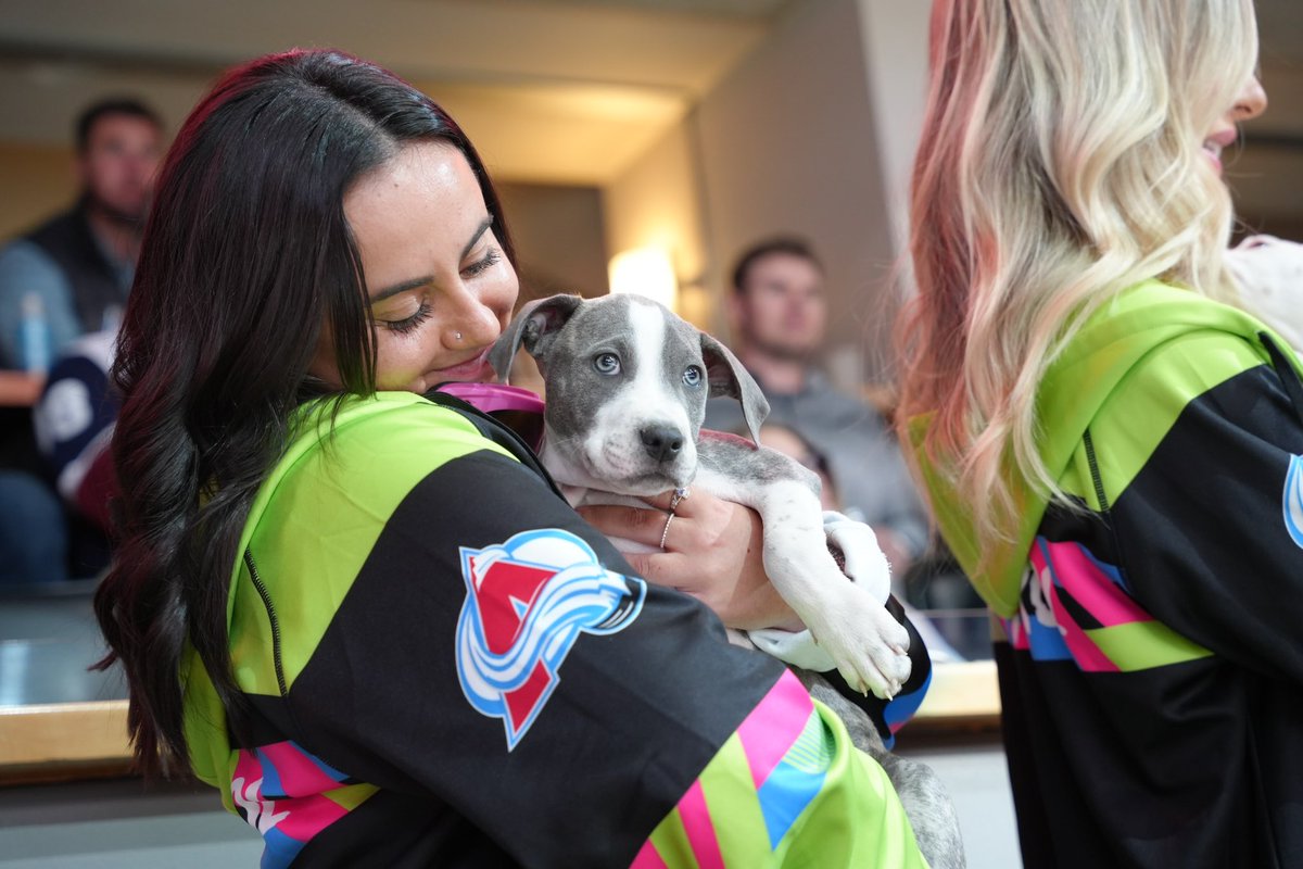 Avalanche's tweet photo. Who let the dogs out?

PetSmart brought by some @MAMCORescueDogs for adoption and it’s safe to say we’re in LOVE. 

Be on the lookout for future adoption events!

#GoAvsGo https://t.co/gpod3Ttkqx