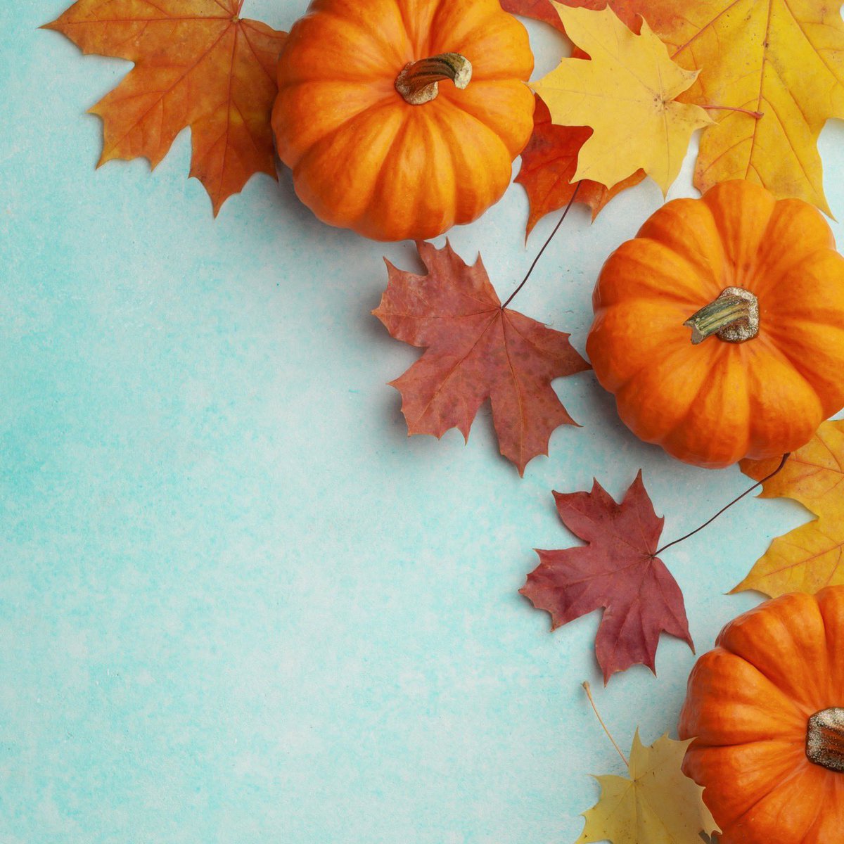 Pumpkin season is in full swing. What's your favorite pumpkin flavored treat? #BrushAfterTreats