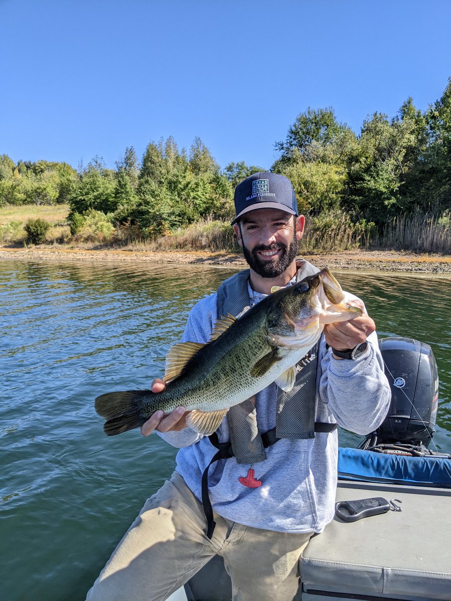 fishsciencedave's tweet photo. A good day at the office. https://t.co/H1621vxBZw