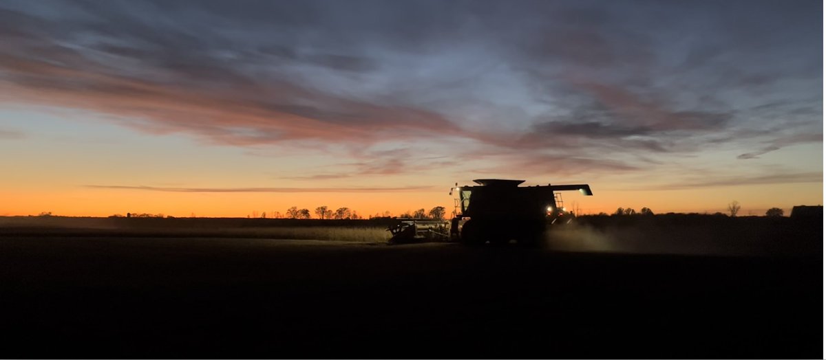 Amanda O'Connell tweet media