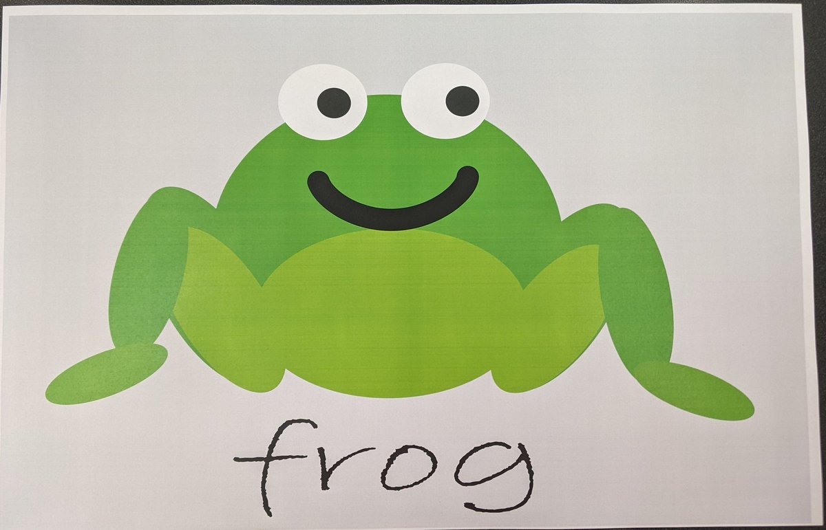 Wilder Dreams Collective tweet media