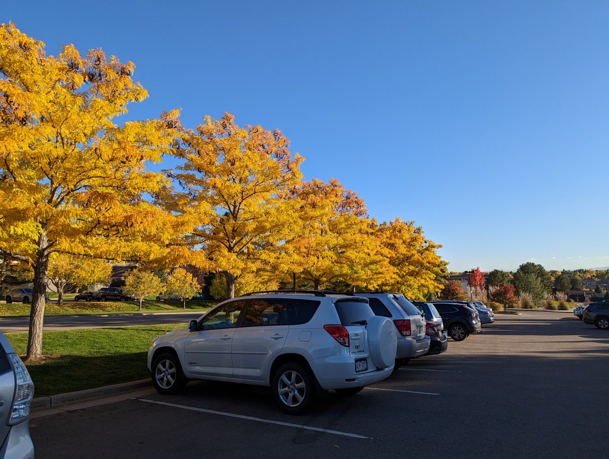 ComedianJamake's tweet photo. Enjoying the beautiful fall weather here in Denver!! #Pixel7Pro #teampixel #madebygoogle #photography #andrography #phonography https://t.co/Uj5qPsAVET
