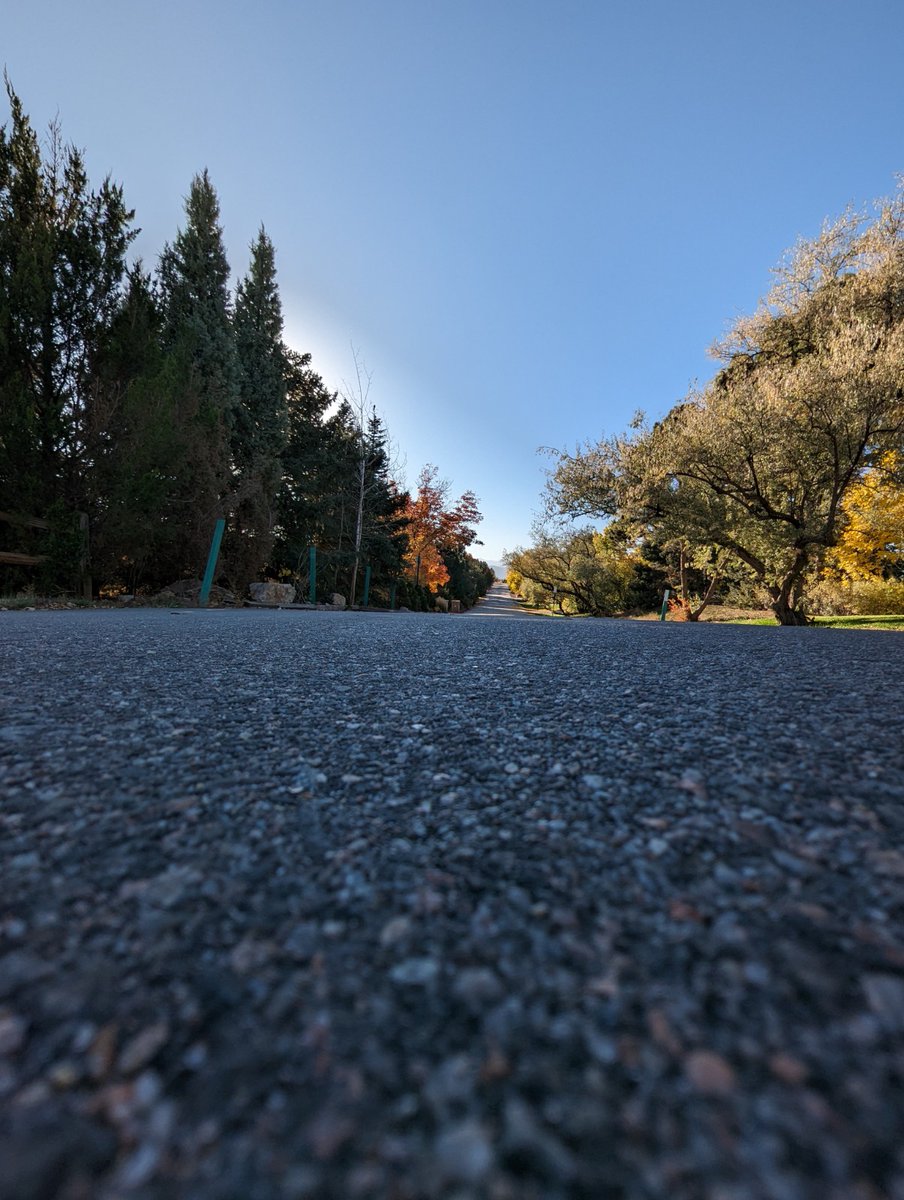 ComedianJamake's tweet photo. Enjoying the beautiful fall weather here in Denver!! #Pixel7Pro #teampixel #madebygoogle #photography #andrography #phonography https://t.co/Uj5qPsAVET