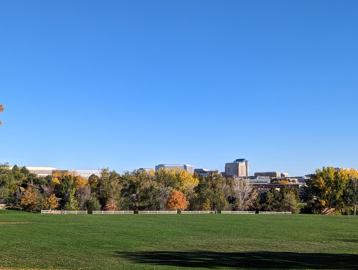 ComedianJamake's tweet photo. Enjoying the beautiful fall weather here in Denver!! #Pixel7Pro #teampixel #madebygoogle #photography #andrography #phonography https://t.co/Uj5qPsAVET
