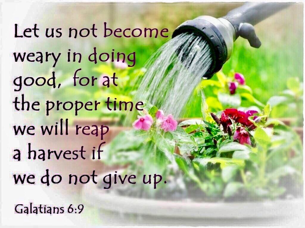 Be not deceived; God is not mocked: for whatsoever a man sows, that shall he also reap. For he who sows to his flesh shall of the flesh reap corruption; but he who sows to the Spirit shall of the Spirit reap eternal life. #YHWH #JesusChrist #JesusSaves Galatians 6:7-8