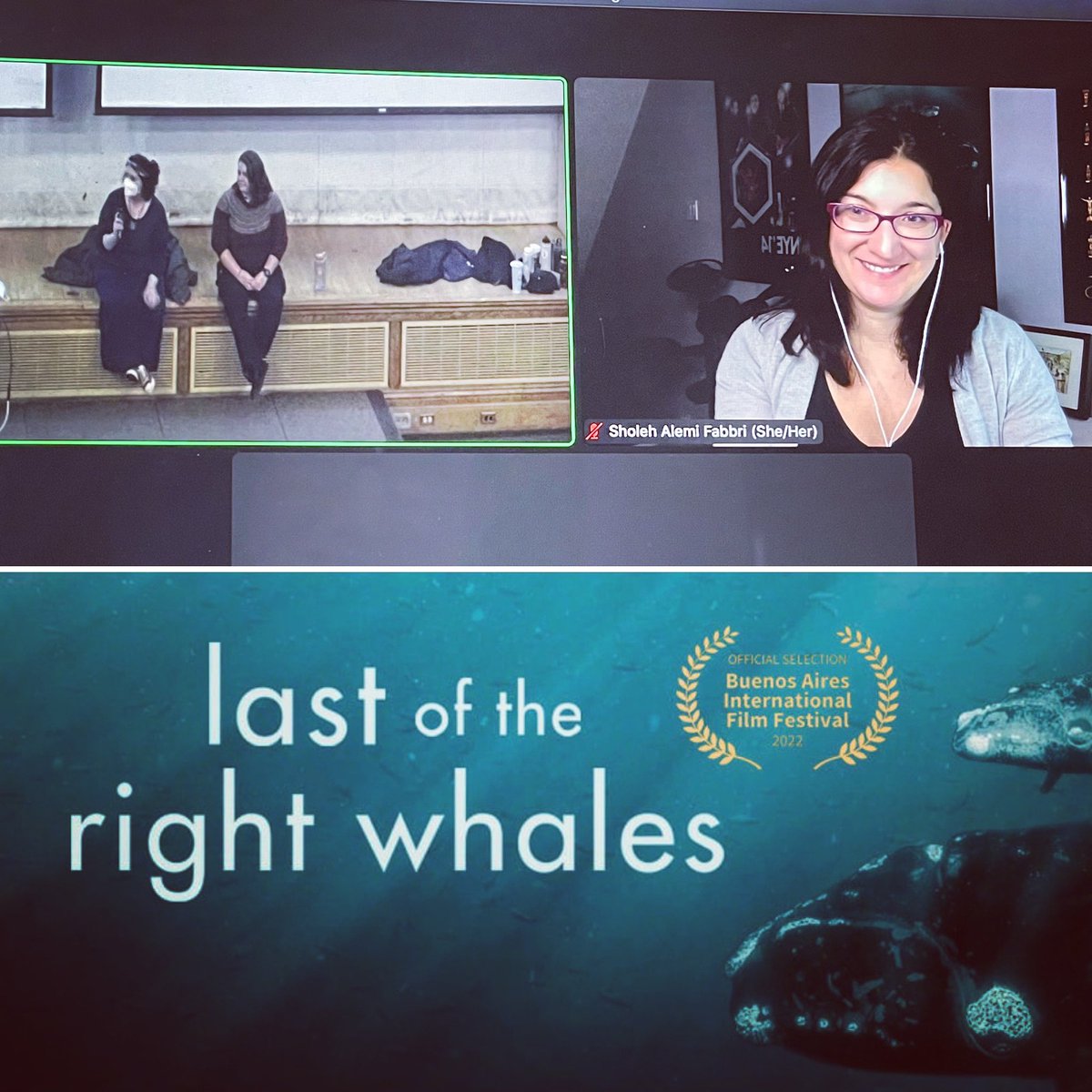 Sholeh Alemi Fabbri tweet media