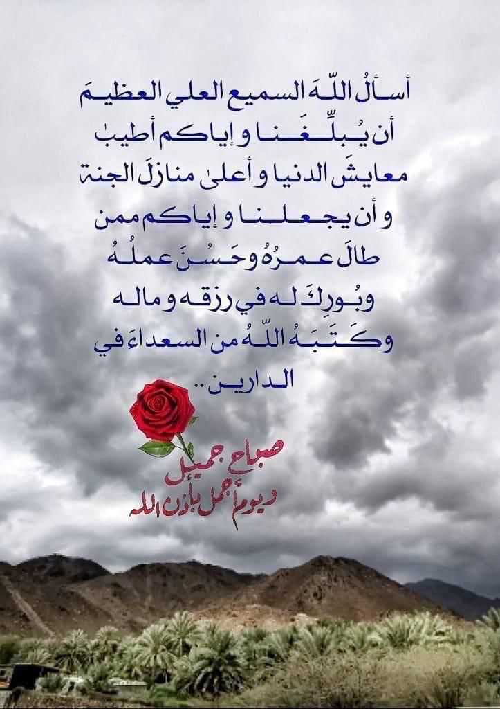 متأمل tweet media