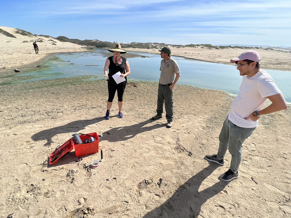 Ian J. Walker tweet media