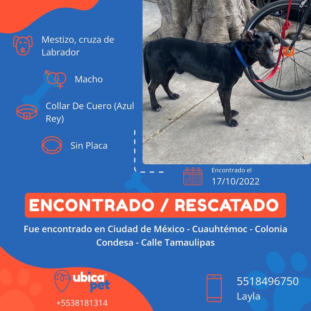 Paula Sánchez tweet media