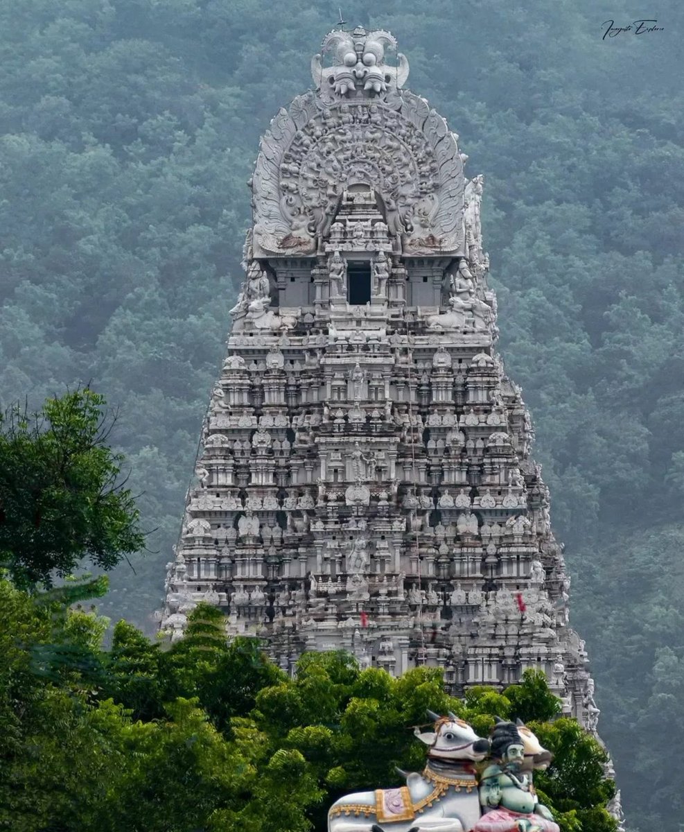 Our temple is a strong pillar of dharma