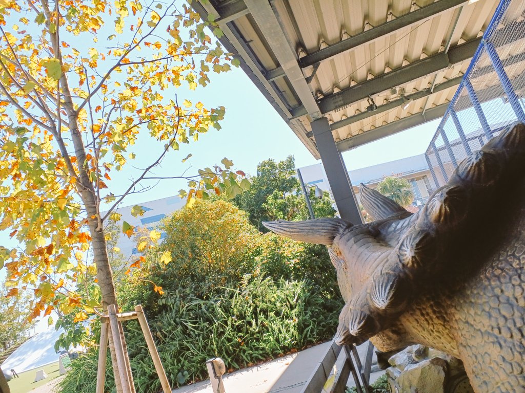 wonderjump55's tweet photo. 皆さんこんにちは☀️
恐竜さんの視線の先もすっかり秋色です🍁

本日ワンダースカイは定期点検の為運休となっておりますがワンダージャンプは運営中です🙌

涼しく快適にトランポリンで運動していただけるお天気ですので是非お立ち寄りください‼️

#イオンモール常滑
#ワンダージャンプ https://t.co/iyphOa5IsI