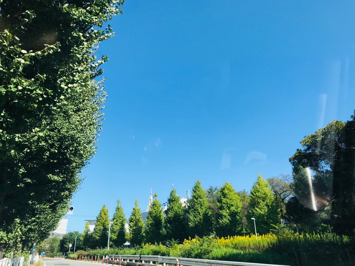 star_field22's tweet photo. 秋晴れ‼️
こんな空を待ってたぜ🌈
#清々しい
#好みの空
#色のバランス最高
#マイナスイオン
#ポジティブチャージ https://t.co/FxikxlDoeT
