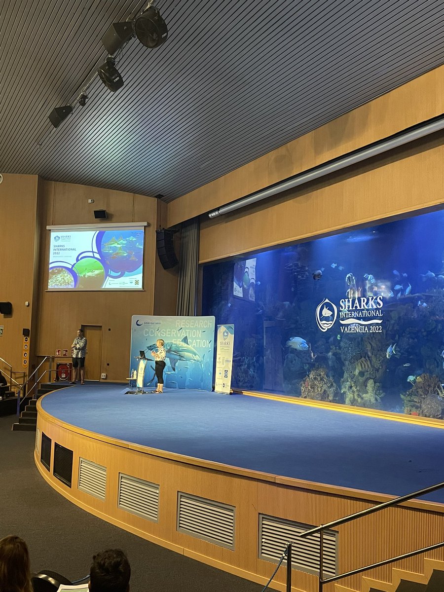 Women in Ocean Science (@womeninoceansci) on Twitter photo “A track record in determination and an open mind” - opening remarks on sharks & research journeys from <a href="/MichelleHeupel/">Michelle Heupel</a> at #SharksInternational2022 “A track record in determination and an open mind” - opening remarks on sharks & research journeys from <a href="/MichelleHeupel/">Michelle Heupel</a> at #SharksInternational2022