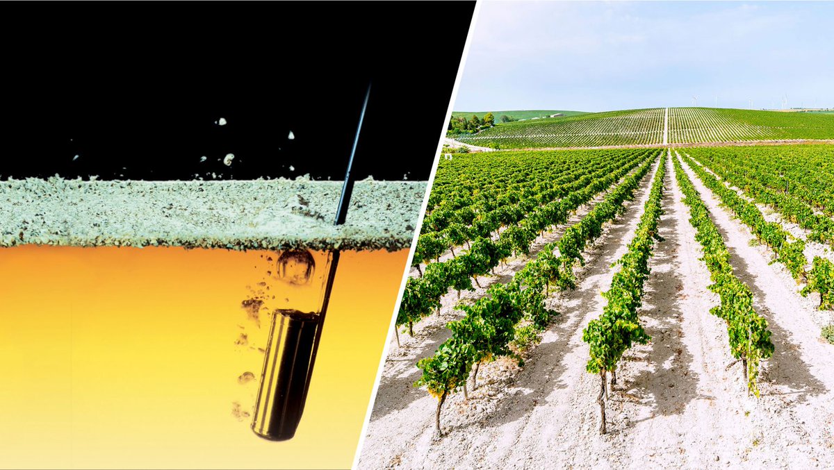 What Sherry’s New Regulations Mean for the Region bit.ly/3CMQYP9 by <a href="/SevenFiftyDaily/">SevenFifty Daily</a> #sherry #Jerez #sherrylover #wine #Spain <a href="/SherryWines/">Sherry Wines Int.</a> <a href="/SherryWinesUK/">Sherry Wines UK</a> <a href="/SherryWinesUS/">Sherry Wines US</a> <a href="/Vinos_ICEX/">Vinos de España</a> <a href="/ICEX_/">ICEX</a> <a href="/sherrywoman/">Katrine Glejtrup</a> <a href="/JerezXrsSherry/">Jerez-Xérès-Sherry</a>