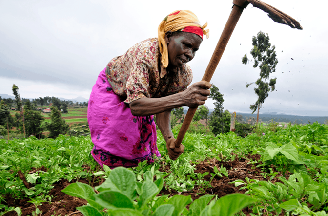 Sunrise_Kat's tweet photo. How #ColdStorage can have an #impact: “My customers find fresh &amp; healthy produce; it no longer rots. I make very good money &amp; I can take care of my family.” - a @SokoFreshKE customer in #Kenya
@60_decibels #insights #solar #SDG7 #EnergyAccess 
(photo: Sokofresh) https://t.co/KSABE3BSdQ