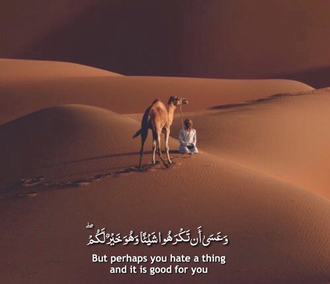 tamanna_tx's tweet photo. Surah Al- Baqarah |2:216 https://t.co/HTgyTJ6Vxg