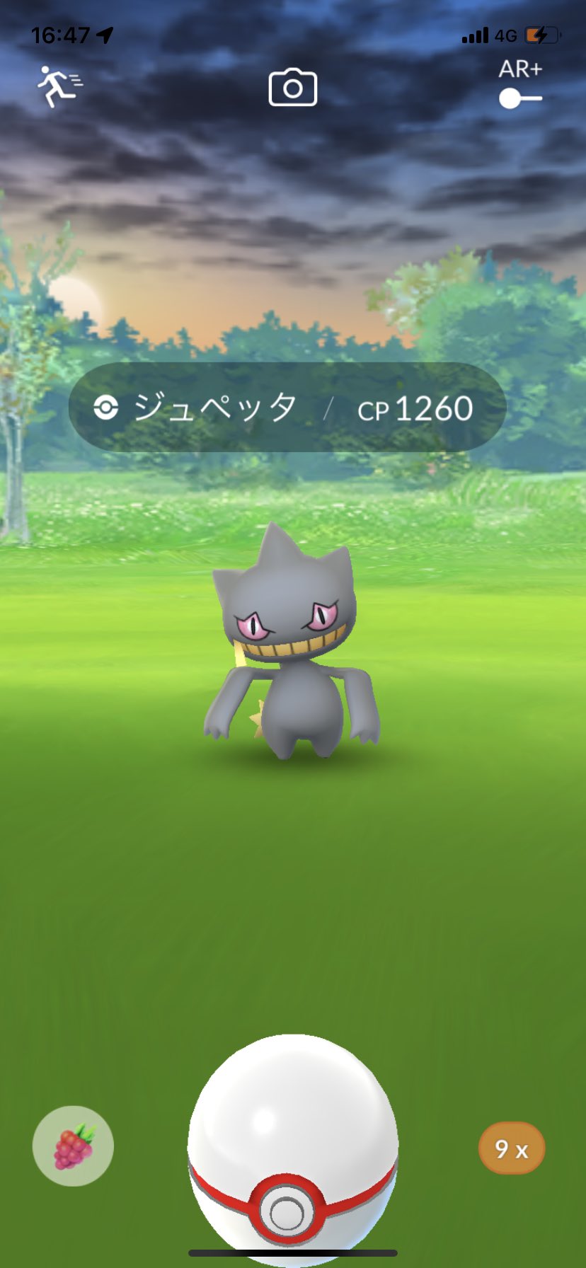 りょうた ポケモンgoしてる人と繋がりたい ポケモンgoフレンド募集 今日はポケモンgoしてきた 大好きなジュペッタの メガシンカが来てめっちゃ嬉しい だれかポケモンgoフレンドになりましょ T Co 8dljccyr7z Twitter