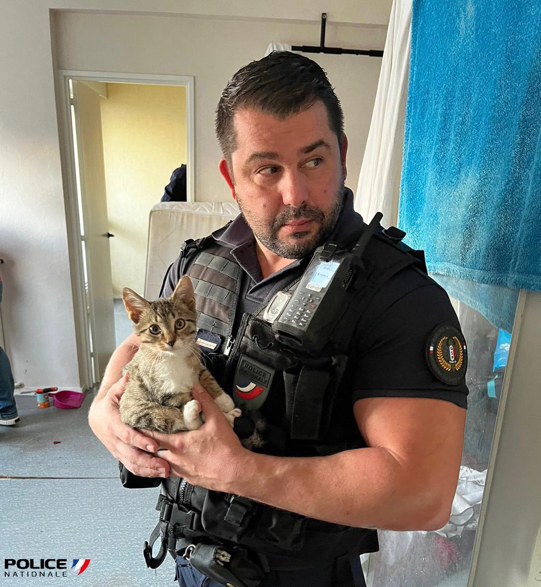 PoliceNat25's tweet photo. [#JeudiPhoto] 
Hier, au cours d’une opération anti-squat, nos policiers sont tombés sur cet adorable chaton 🐱 
Si son propriétaire n’est pas identifié d’ici 8 jours, il sera adopté par un de nos collègues afin de ronronner des jours heureux ! https://t.co/3elMWeOEKi