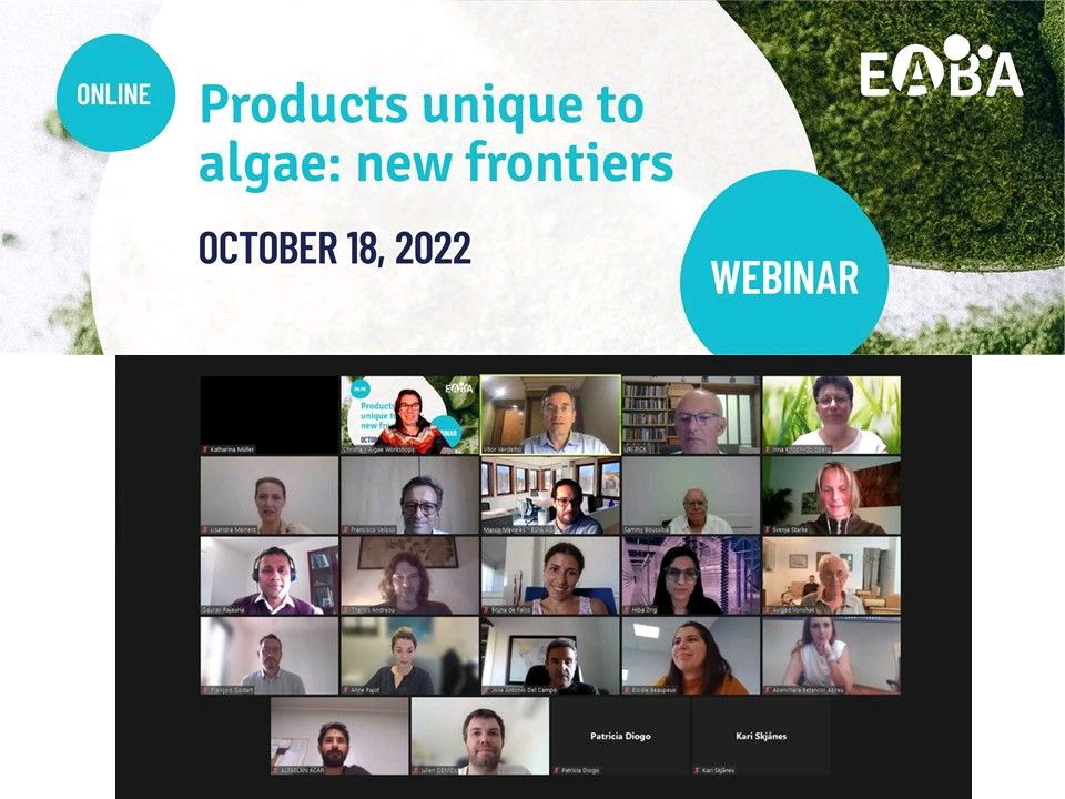 BEA_ULPGC's tweet photo. Bruna de Falco @BrunadeFalc (#Alizio Project) attended this week to this interesting @EABA_Algae webinar "Products unique to #algae: new frontiers“ #microalgae #compounds #pigment #polysaccharides #antiviral #antibiotic #health #market #future #food #medical #cosmetics https://t.co/GzFJ8JtcEh