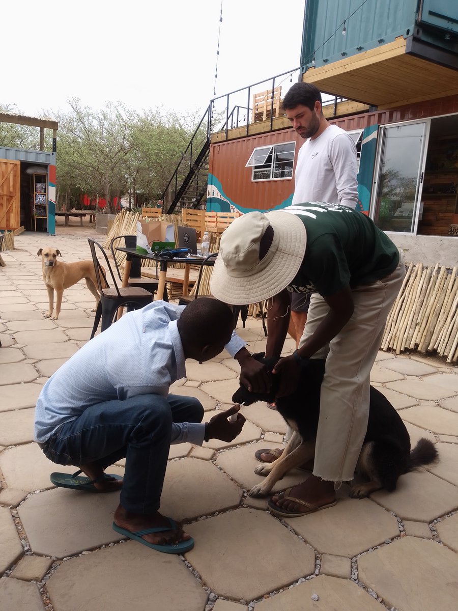 Giving our dogs love, food, and attention at all times to safeguard their strength and well-being.
#animaloutreach #nourish #petshealth