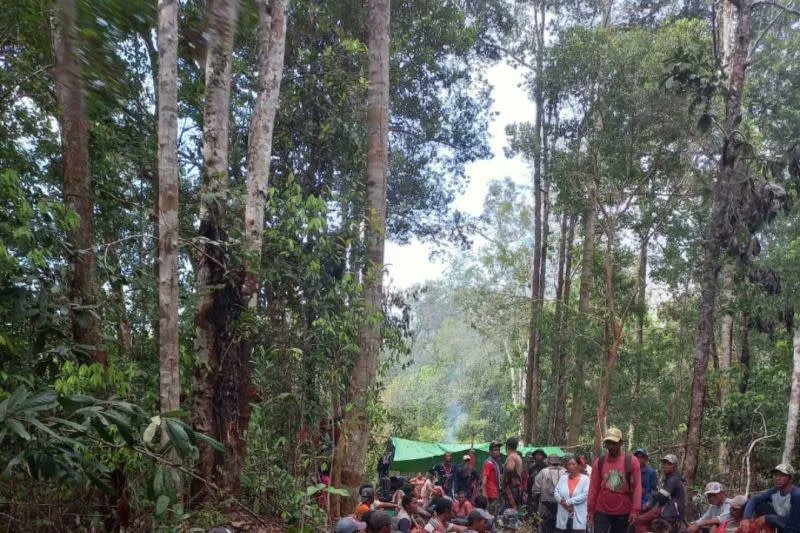 Sudah sepekan Alwi hilang di hutan Kekurak Badau batas RI-Malaysia bit.ly/3COYqJG