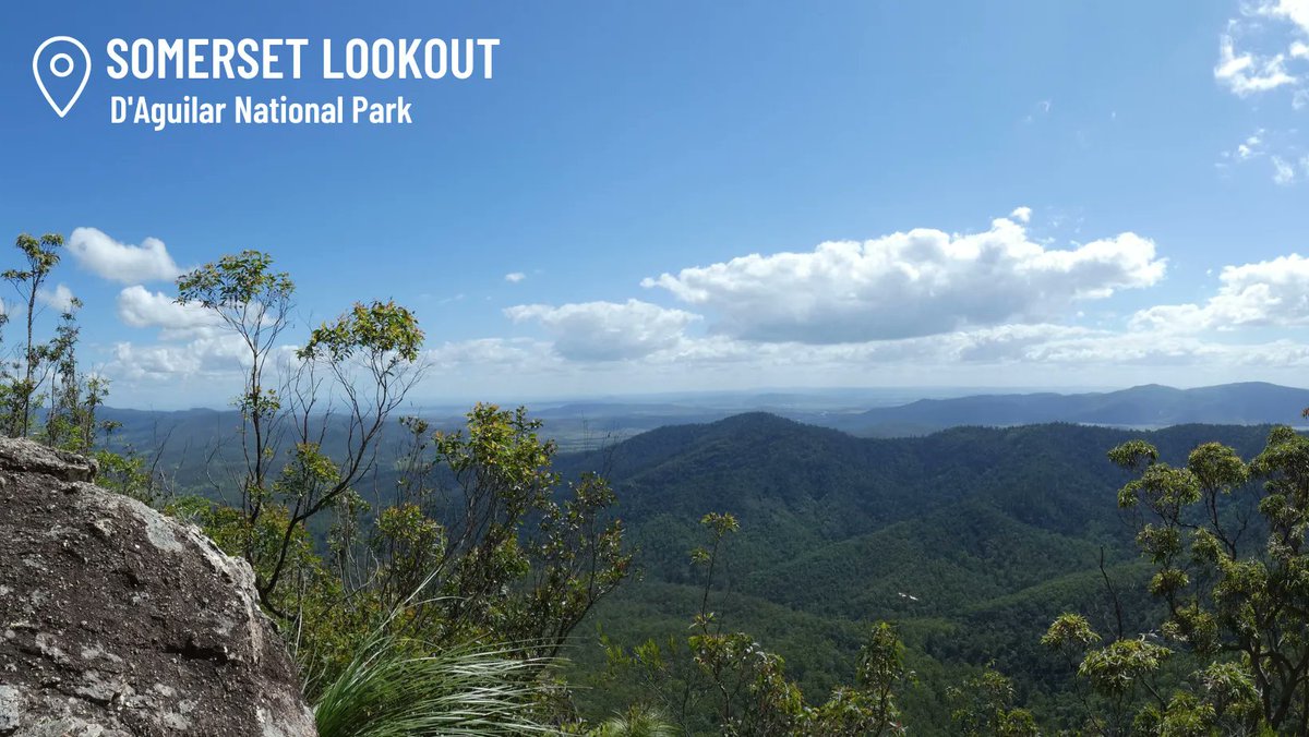 Experience beautiful snippets of SEQ’s rainforest, scribbly gum forest, montane heath and piccabeen palm groves along the Somerset Trail, D'Auilar National Park. The  trail is a 13km loop, grade 4 walking track, located about 70km from Brisbane CBD in the North D’Aguilar section.