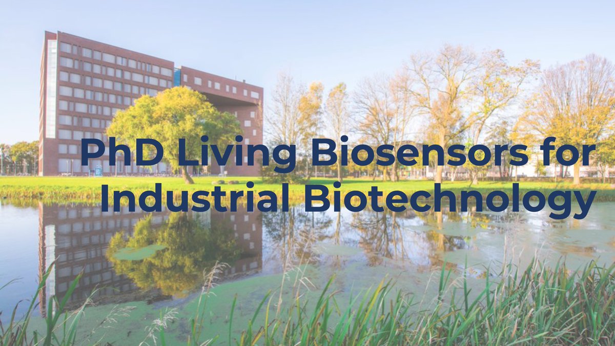 EAsinTHETIC's tweet photo. New PhD OFFER!🌟 (retweet🙏)
LIVING BIOSENSORS FOR INDUSTRIAL BIOTECHNOLOGY
#Biosensors for real-time data acquisition, processing and learning for the generation of actionable knowledge within the bioprocess. Join us at BPE 
@WUR! Applications and + info:
https://t.co/xSZJpupNSt https://t.co/qKylEGHFW9
