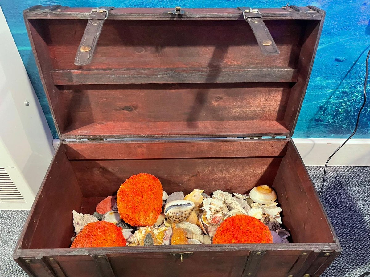 SywellSchool's tweet photo. We are all a little bit in love with 'The Reef' - a workspace area for all children across the school (and the adults too!) 🦀🐳🐠🐚 https://t.co/dPLmXfWgDp