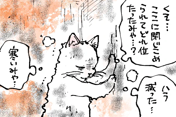 🐱キラキラにゃんこ生活
今日もゲリラ投下🪂午前中の投下で皆さんの悲鳴や嘆きのリプ拝見して想像はしてたけど私も辛い😂もうちょっと耐えてくだされ🫣 