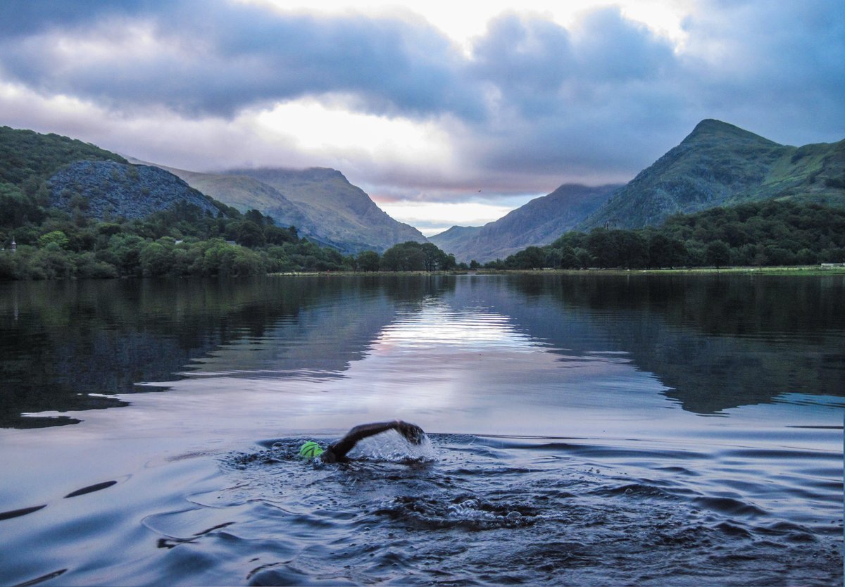 Brutal Events tweet media