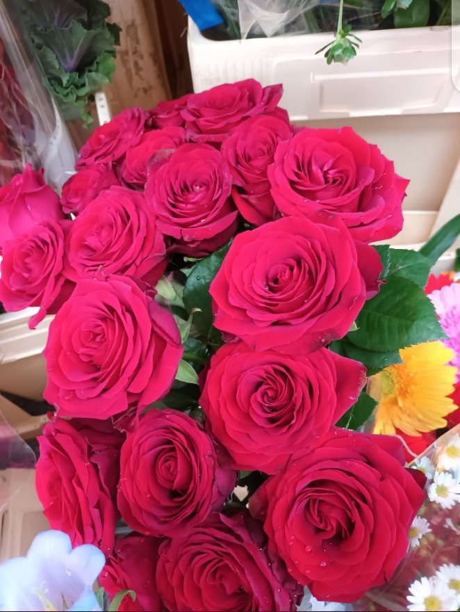 To all my beautiful fans out there! I love you'll.