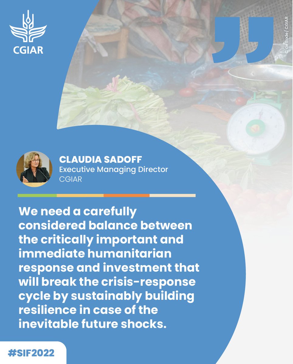 COVID won’t be the last pandemic. Ukraine won’t be the last conflict. Climate change is not slowing down any time soon. We need to keep our eye on longer-term sustainability & resilience, even as we meet today’s needs, says @ClaudiaSadoff live @ #SIF2022👉on.cgiar.org/3ETs1UW