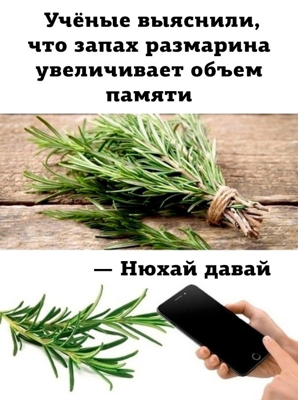 🛸Моri-Mori👽 (@morohirsimvanna) on Twitter photo 