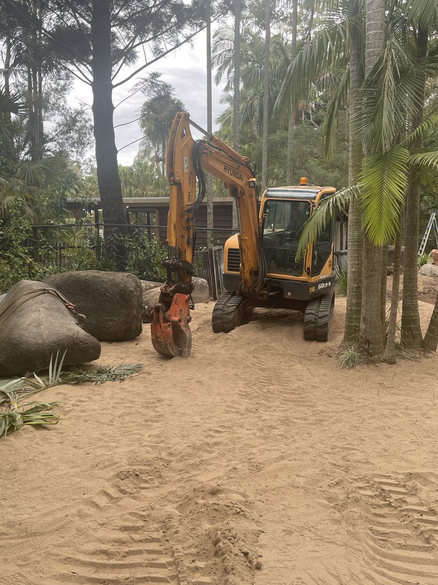 Kmixx91's tweet photo. Went to #AustraliaZoo while on holidays and had a great time. Even spotted this rare specimen in its natural habitat.
Here we see the wild yellow excavator. Crikey it’s a big one! It was a great holiday and an amazing visit. Thanks everyone @AustraliaZoo for working so hard🥰✌️ https://t.co/piH551aKMZ