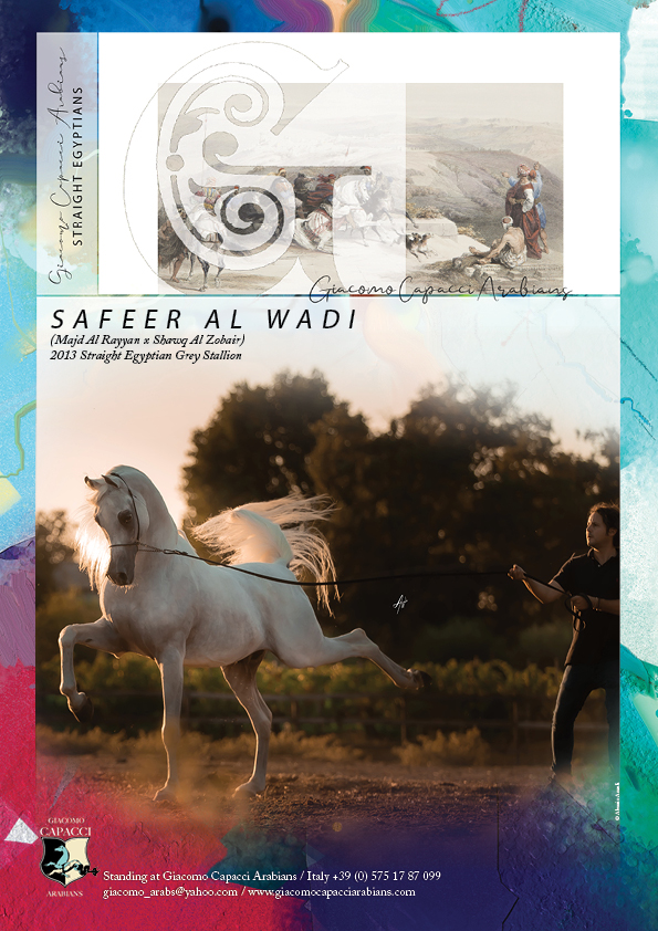 ArabianEssence's tweet photo. Giacomo Capacci Arabians Special SE Selection - SAFEER AL WADI
https://t.co/OO5tH5IGus...
Click here to see High Resolution version:
https://t.co/rm2QDG4ew2
#giacomocapacciarabians #straightegyptian #specialselection #safeeralwadi https://t.co/fwlhRwRSqT