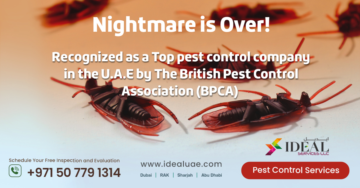 idealPCS_UAE's tweet photo. Find a local pest professional to provide advice and pest control solutions. Proudly protecting the homes and businesses of UAE.

🌐 https://t.co/bsgnESdx7m
📱 Contact us on +971-5077 91314

#idealservicesllc #pestcontrol #pestcontrolservice #pestcontrolprofessionals https://t.co/qFRW3dKKaA