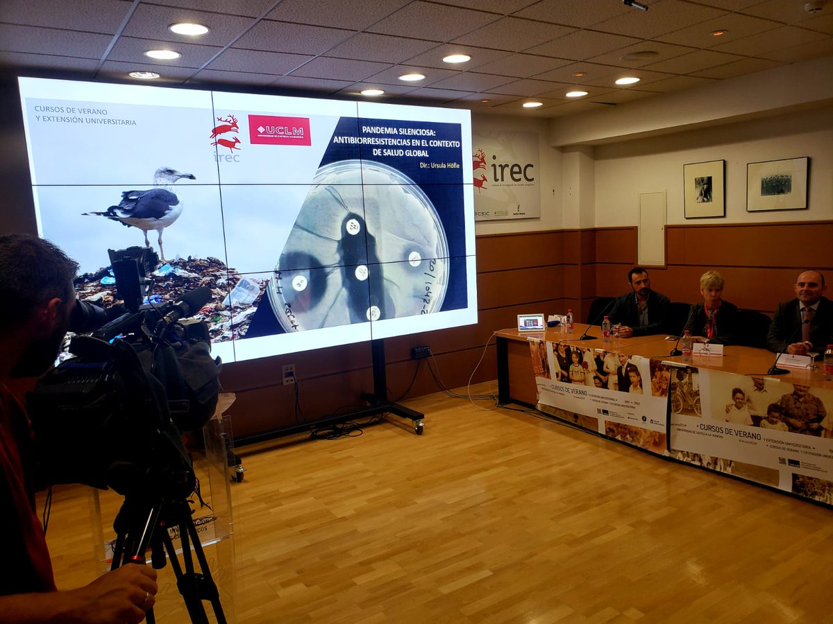 palotube's tweet photo. Dos días cara a cara con las #bacterias 🦠  @uclm_es @IREC_CSIC_UCLM. Dirigido por @HofleUrsula @Birdpath_IREC abordaremos el grave problema de las #antibiorresistencias con perspectiva #OneHealth. #Resistiremos https://t.co/5kucjtUT6P